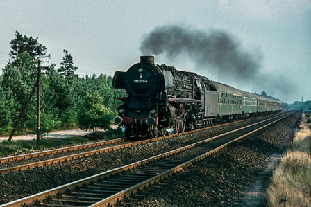 D19