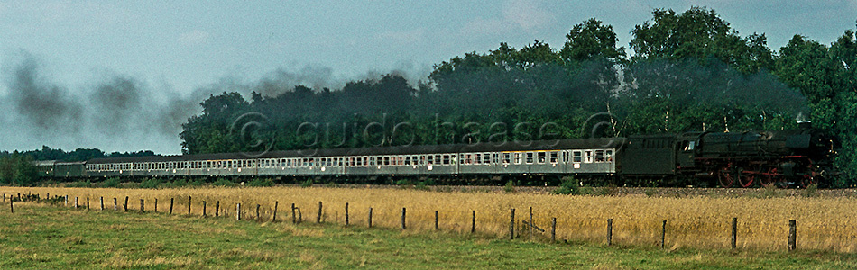 D35-012.jpg